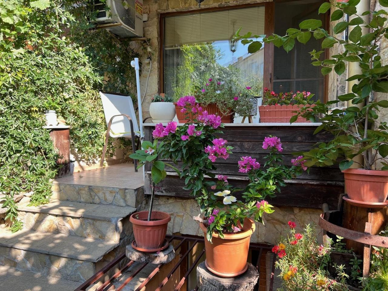 Family Hotel Emilia Sozopol Eksteriør bilde